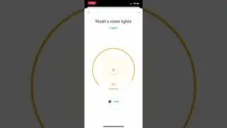 Google assistant