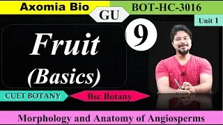 Fruit (Basics)| Morphology and anatomy| 3rd sem| Bsc Botany| CUET-PG| Dr. Rajib Borah| Axomia Bio