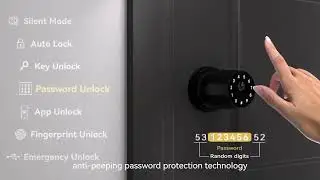 291Y Door Knob: Versatile Access, Premium Design for Modern Homes