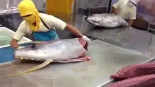 Tuna Cutting Really Fast At The Factory