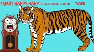 Smart Happy Baby | Hickory Dickory Dock Tiger | English Nursery Rhymes | Kids Song | Baby Song