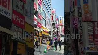 where would you live? #japan #florida #akihabara #hokkaido #usa #wouldyourather
