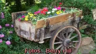 Berry Hill.. Da sprach der alte Häuptling der Indianer