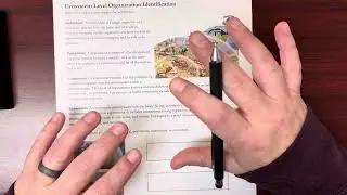 Ecosystem Level Organization Identification