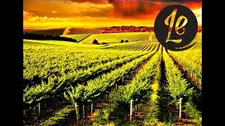 Sampling Wines in the Margaret River Wine Region  |  LUXURY ESCAPES