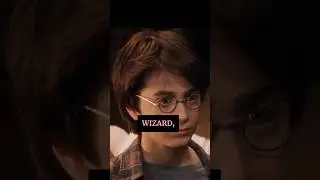 The Wand Chooses It's Wizard