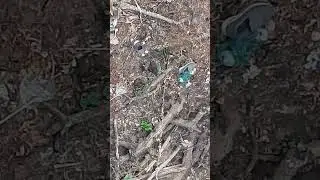 cat afraid to big 🐀 🐁 🐭 🐀 rat ll cat 🐈 and rat fight