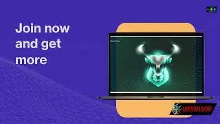 What You Need to Know About BullPerks
