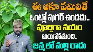 తిప్పతీగతో ఒంట్లో షుగర్ నయం అయిపోతుంది..! | Control Diabetes Telugu | Health Tips Telugu | ManamTV