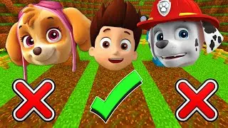 CHOOSE THE RIGHT SECRET DOOR OF PAW PATROL in MINECRAFT!