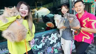 PERGI KE CAFE IKAN!! KENALIN PAM PAM, BOO DAN CIKU KUCING KE IKAN-IKAN!!