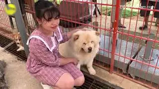 Puppy Farm Da Lat dog farm
