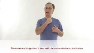 Freeing the chest and spine with heart and lung imagery - Franklinmethod®