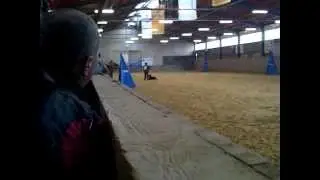 Ila vom Rabenturm