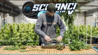 GTA V ŚCIGANCI 2 #75 NOWY BIZNES! 🟢