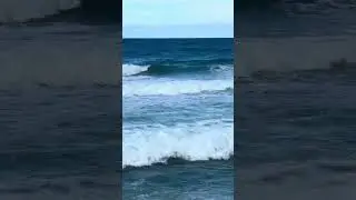 Surf duck at Burleigh heads