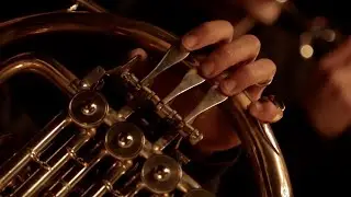 Chocog&uuml;on ac&uacute;stico - Neurosis