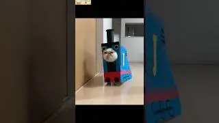 Your Daily Pet Laughs &ndash; Episode 6 🐶🐱😂   #PetShorts #FunnyCatsAndDogs#CatFails #DogFails