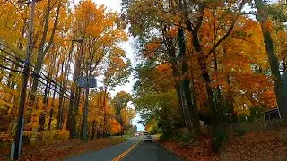 [4k-🚗🍂🍁] Driving on back country roads to view Fall Colors