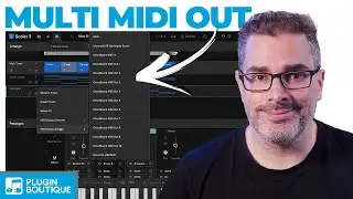 Scaler 3 - многоканальный MIDI-выход в Ableton Live!!