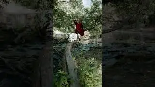 Yoga in Forest #yoga #meditate #relax #forest #shorts #shortsvideo