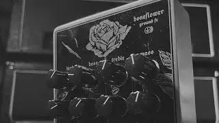 Boneflower by Kodex Audio / Ground FX #overdrive #guitar #pedal