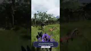 Update 6 Stress Test!!!