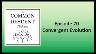 Episode 70 - Convergent Evolution