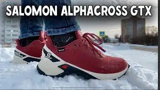 КРОССОВКИ НА ВЕСНУ / SALOMON ALPHACROSS BLAST GORE-TEX / обзор кроссовок /