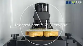 [Printing] BSM-DP1000  Introduction Video