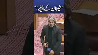 Bator E Pakistani Bat Kr Raha Hun! Ali Muhammad Khan Emotional Speech #trending #parliamentsession