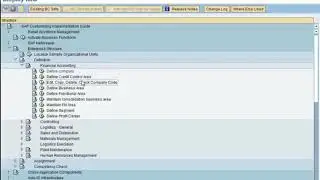 Define Company Code in SAP