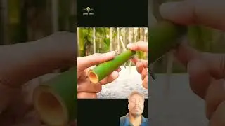How to make wonderful Selim Bamboo Crafts #shorts #viral #trending #selimzone