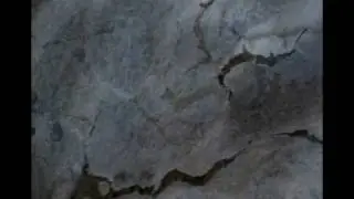 The Real Arctic Experience