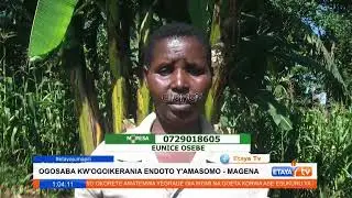 Needy bright student from Magena appeals for help to achieve his dream of becoming a lawyer