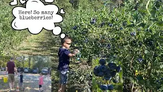 Blueberry Picking / Wahrenberger Family goes to the Blueberry Farm / East Germany / Deutsch-Filipino