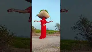 #halo