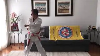 Kata Naihanchi Shodan