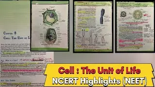 Cell : The Unit of Life ||  Ncert highlights || to score 360 in biology 🧬 #neet #neet2024 #ncert