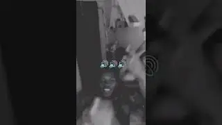 Crazy vibe - rale marie (video-lyrics)