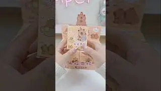Unboxing time‼️ Capybara blindbox #capybara #cute #asmr #shorts #fyp #sanrio #kuromi #hellokitty
