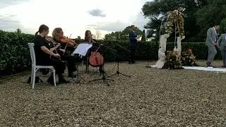 Music Events Siena - String's Trio