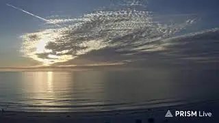 Gulf Of America Beach Livestream ⛱️ Live Camera Beach Live Now