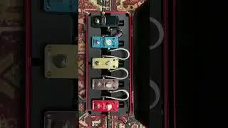 Tomsline delay guitar pedal demo