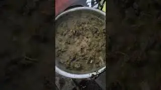 lekkere doksi