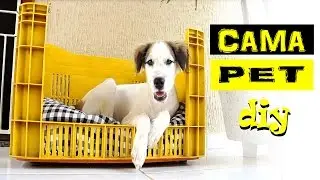 Como fazer uma caminha de cachorro/ Pet com uma caixa de feira - DIY