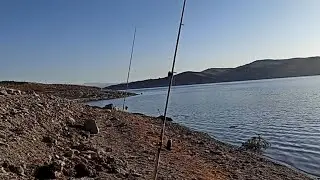Keban barajı sazan avı.Turna avı.El oltasıyla turna avı.Alan Yemleme