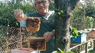 Kiçik ailəciyin güləm ehtiyatı.