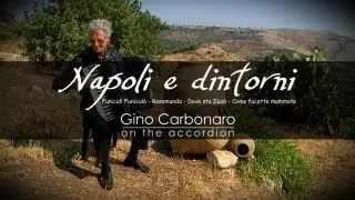 Napoli e dintorni  - Gino Carbonaro - Carneval