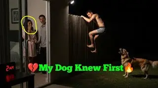 🔥 At 2 A.M., My Dog Exposed My Cheating Wife &mdash; A Shirtless Man Fled My Yard